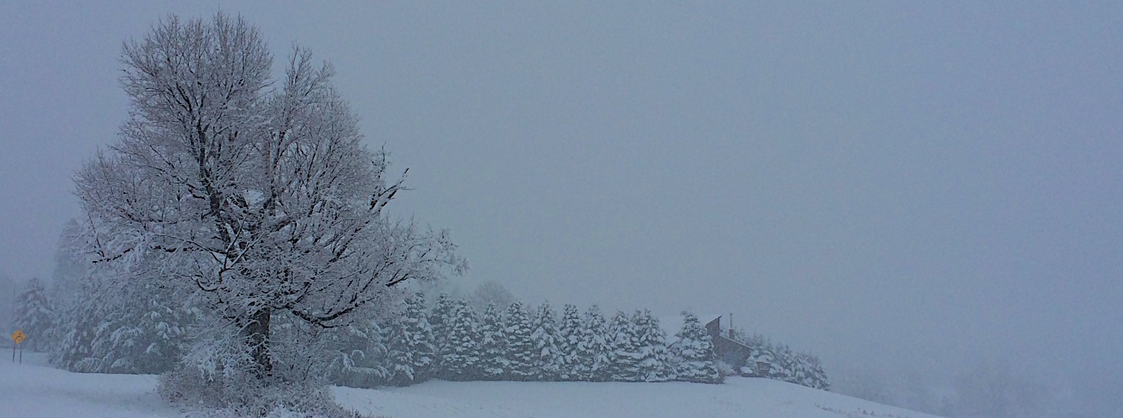 Wintry field, Wild Culture, by Debra Slack ©2014