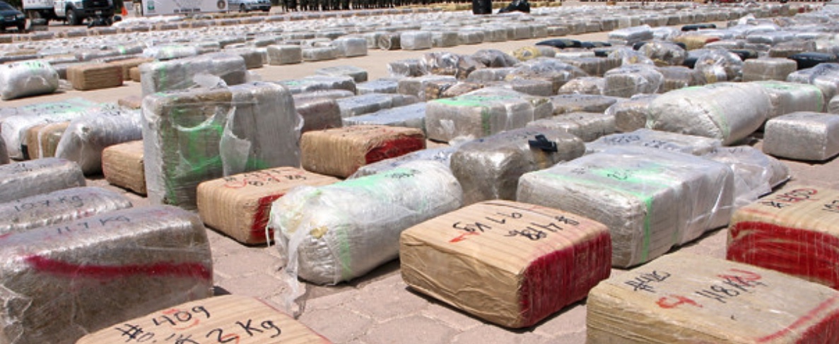  Drug loot in police yard, journal of wild culture ©2022