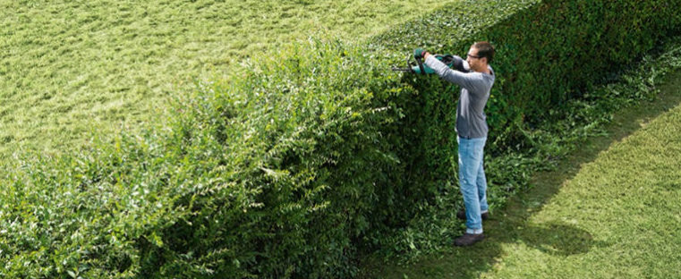 How to Lay a Hedge, journal of wild culture, ©2022