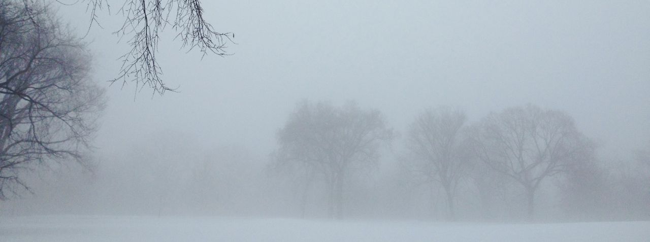 Central Park, Great Hill, in winter, #3, by Whitney Smith ©2014