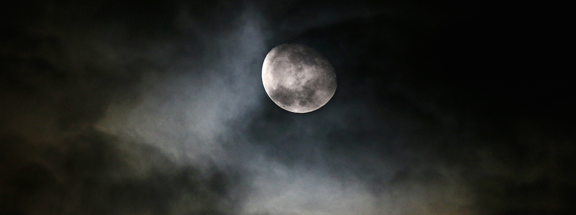 Moonglow, Wild Culture, ©2015
