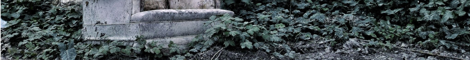 Abandoned couch