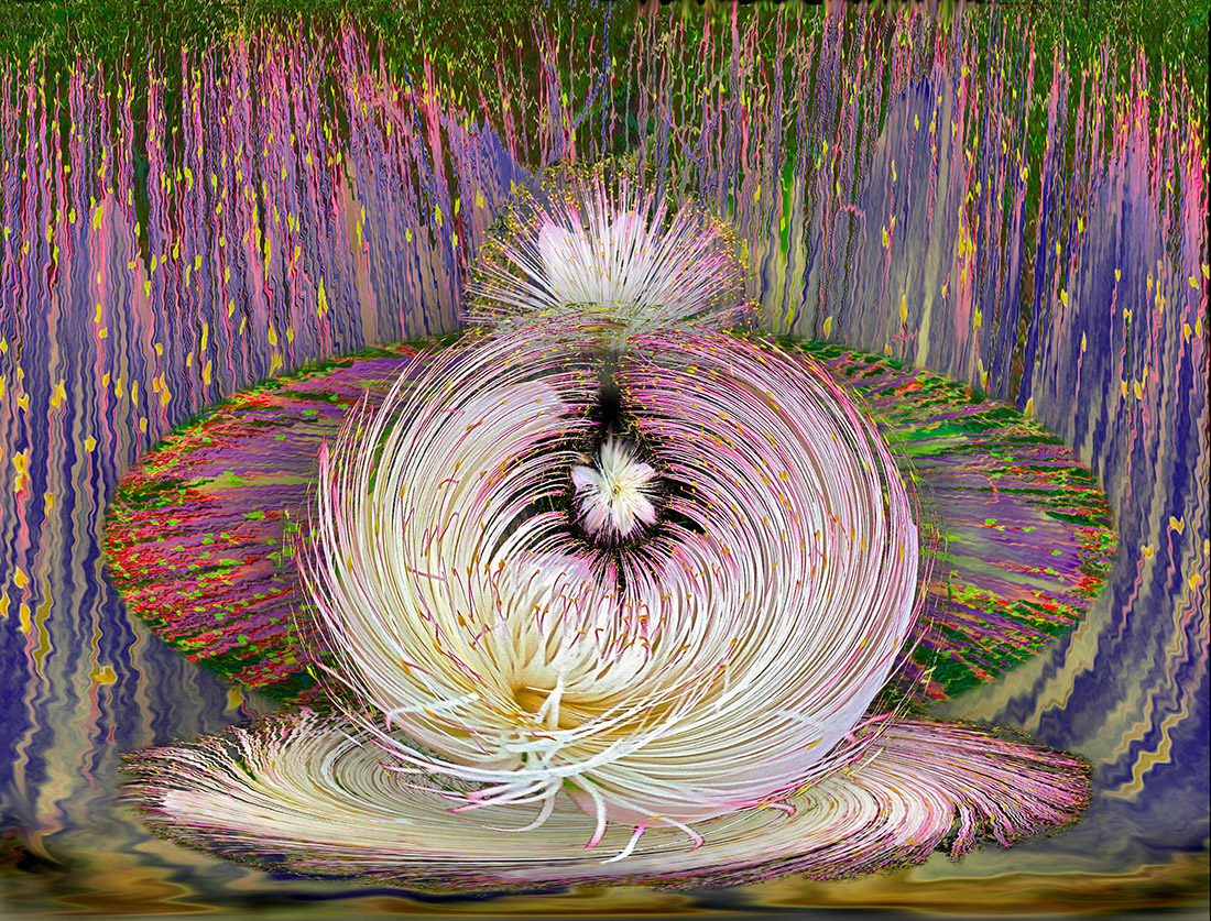 FishXflowerNervousRainS_Rick Simon, journal of wild culture ©2021