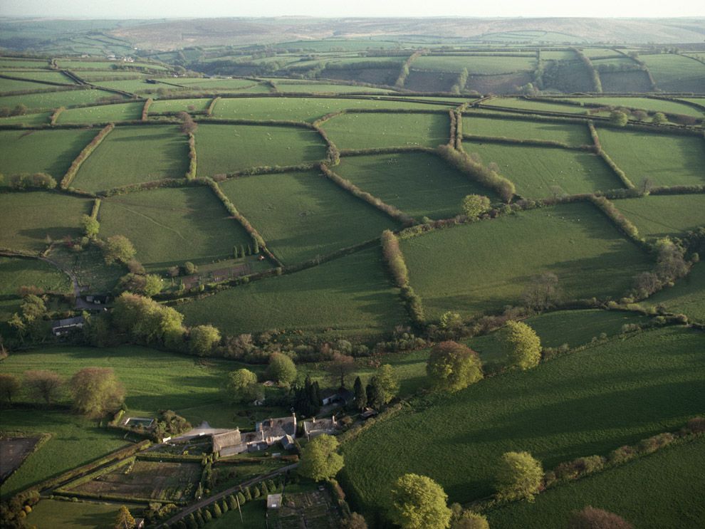 Hedgerows, England, journal of wild culture ©2022