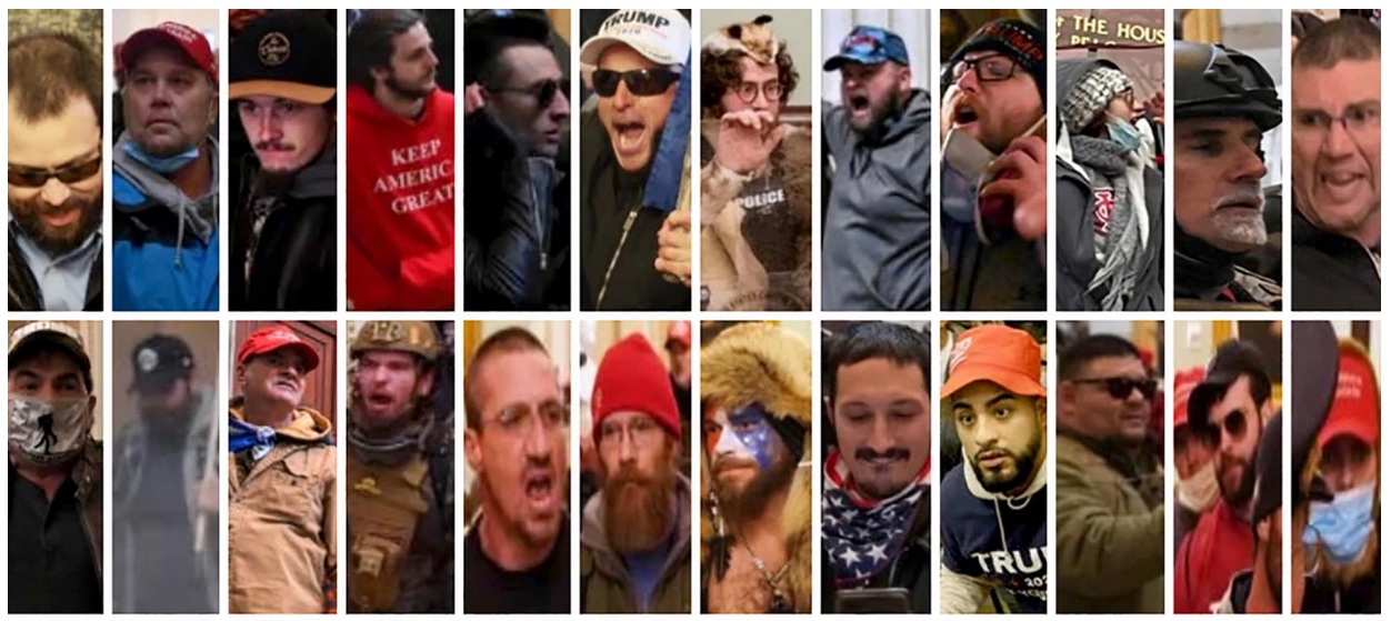 Roster of proud boys capitol breach, journal of wild culture ©2021
