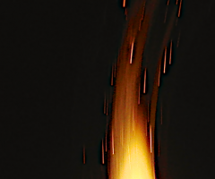 Flame, Wild Culture, Flash Prose, ©2015