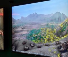 Flowers on Mars, journal of wild culture
