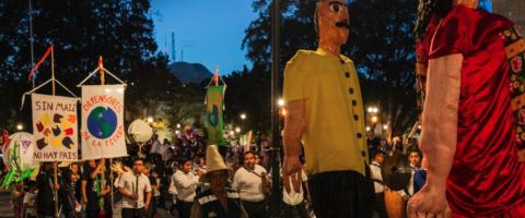 Corn crisis in Oaxaca, journal of wild culture ©2020