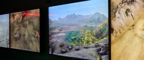 Flowers on Mars, journal of wild culture