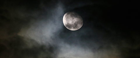 Moonglow, Wild Culture, ©2015