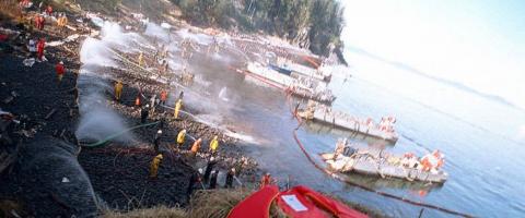 Exxon Valdez cleanup