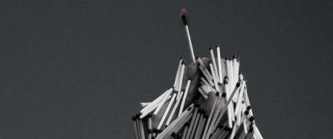 Match hand, Wild Culture, ©2014